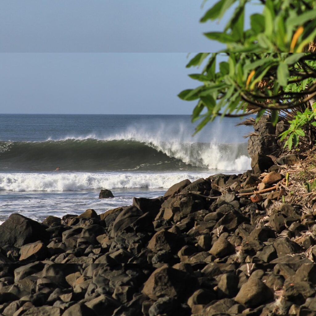 Las Flores/El Salvador