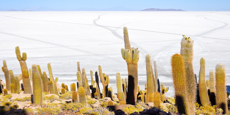 Salar-de-Uyuni-ilha-incahuasi