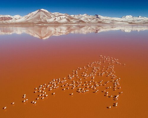 laguna colorada 2